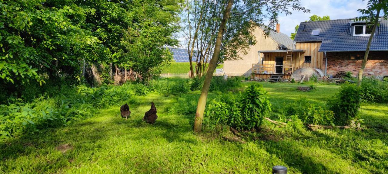 Heideblick Ferienwohnung & Campingplatz Vor Dem Berg מראה חיצוני תמונה